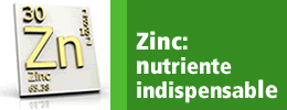 Zinc: Nutriente indispesable