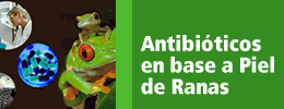 Científicos argentinos buscan desarrollar antibióticos en base a la piel de sapos y ranas