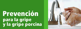 Prevención para la gripe y la gripe porcina