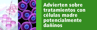 Advierten sobre tratamientos con células madre potencialmente dañinos