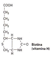 Biotina