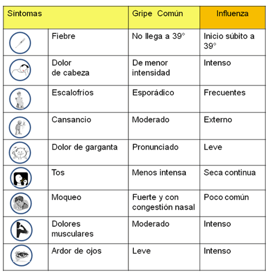 Diferencias entre los síntomas de la gripe común y la influenza porcina