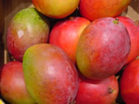 Mangos