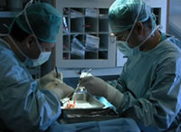 El país superó los mil transplantes en lo que va del 2012
